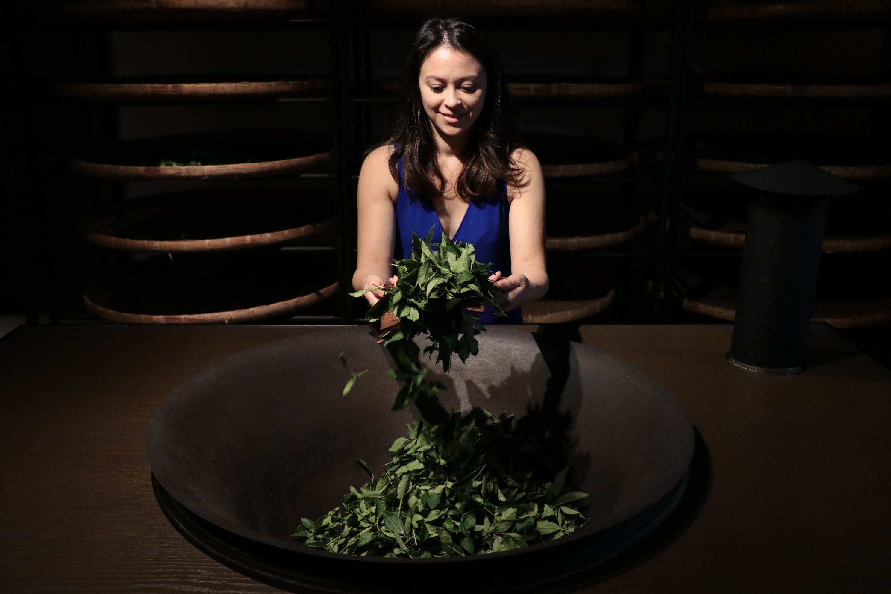 【南投】茶香藝文的一日饗宴